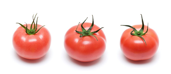 Tomato isolated