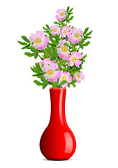 dog rose in the red vase isolated on white background