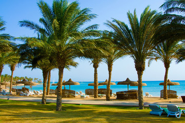 Tropical Beach with Coconut Palm Trees © Alexey Repka