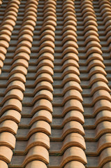 Roof tiles