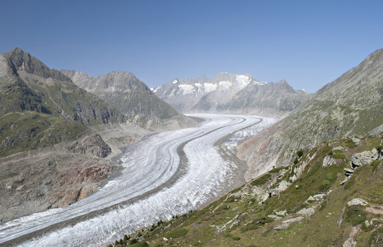 Aletch glacier in summer