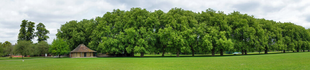 Fototapeta na wymiar Jezus Green Park w Cambridge