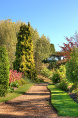 Fototapeta premium Path through colorful park