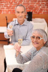 Elderly couple toasting each other in restaurant