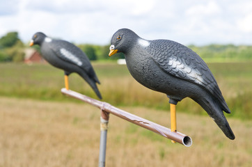 Pigeon decoy on  stand for hunting