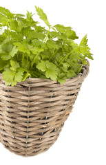 Naklejka premium Parsley