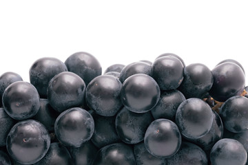 background from dark blue grapes