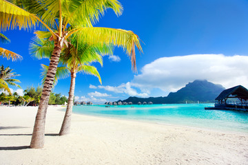 Bora Bora beach - obrazy, fototapety, plakaty