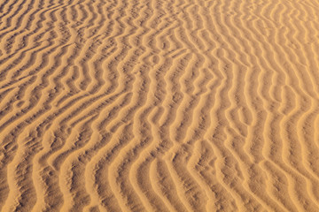 sand dune in sunrise in the desert