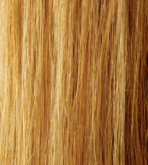 Blond Hair Texture