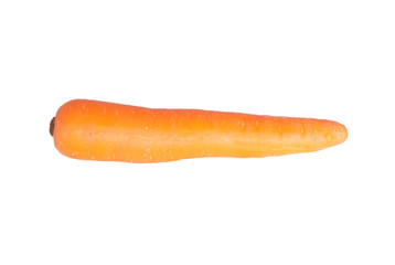 isolated carrot