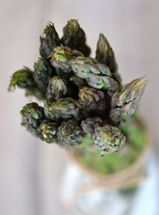 Bunch of asparagus