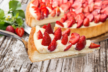 Piece of Cake on a cake lifter