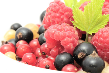 Mixed Berries (Raspberries, Black, Red & White Currants) in Bowl