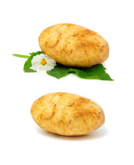 New Potatoes Isolated on White Background