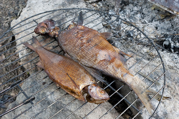 Two smoked fish on barbecue