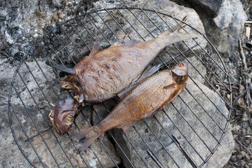 Two smoked fish on barbecue