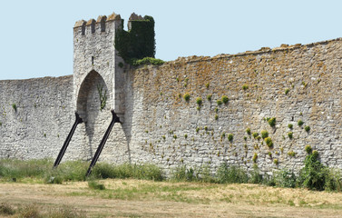 Medieval Town Wall and Tower - 44347956