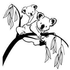 Obraz premium koala z dzieckiem czarno-biały