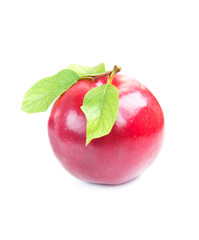Red apple
