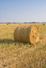 haystack on a  summer field
