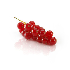 currant
