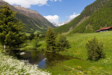 Weiher in Niederthai