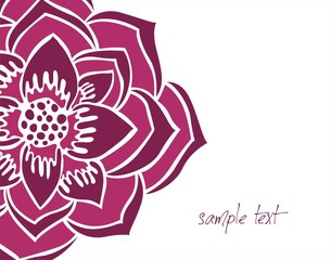 water lily flower, Buddha , Zen, India, Asia