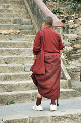 monaco buddista in nepal