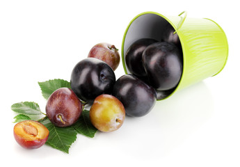Rip plums in pail isolated on white