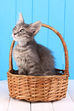 Small gray kitten in basket on wooden table