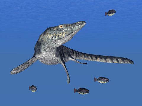 Tylosaurus