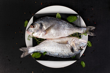 Two fish with fresh herbs on plate, top view.