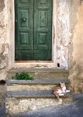 Italian old house and cat