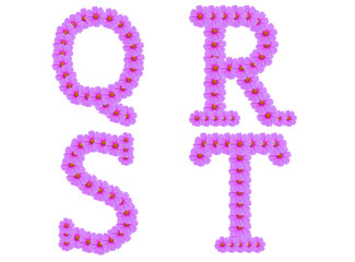 Alphabet Q R S T, Cosmos flower alphabet isolated on white