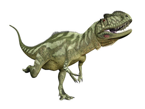 Dinosaurier Yangchuanosaurus