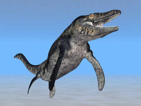 Tylosaurus