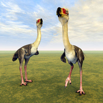 Terrorvogel Phorusrhacos