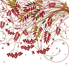 autumn floral background