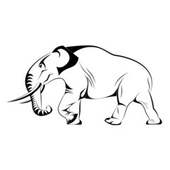 Vector elephant