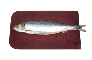Herring on the board on a white background