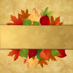 Autumn background with leaves