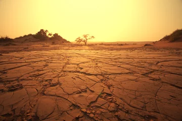 Printed kitchen splashbacks Drought Namib