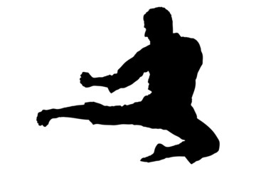 A silhouette of a karate jump