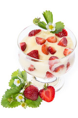 Bowl with Vanilla Pudding on white
