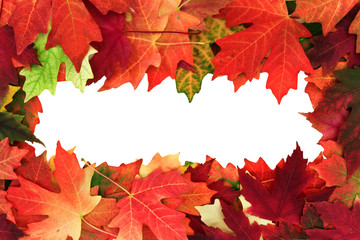 fall leafs with text space