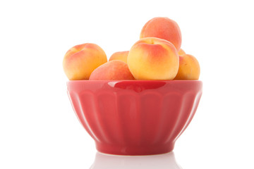 Bowl fresh apricots