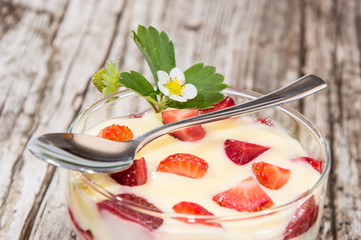 Pudding with fresh fruits