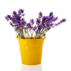 Obraz premium Bouquet Lavender twigs