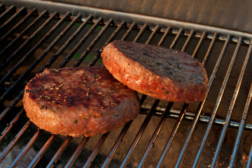 Hamburgers on a Barbecue